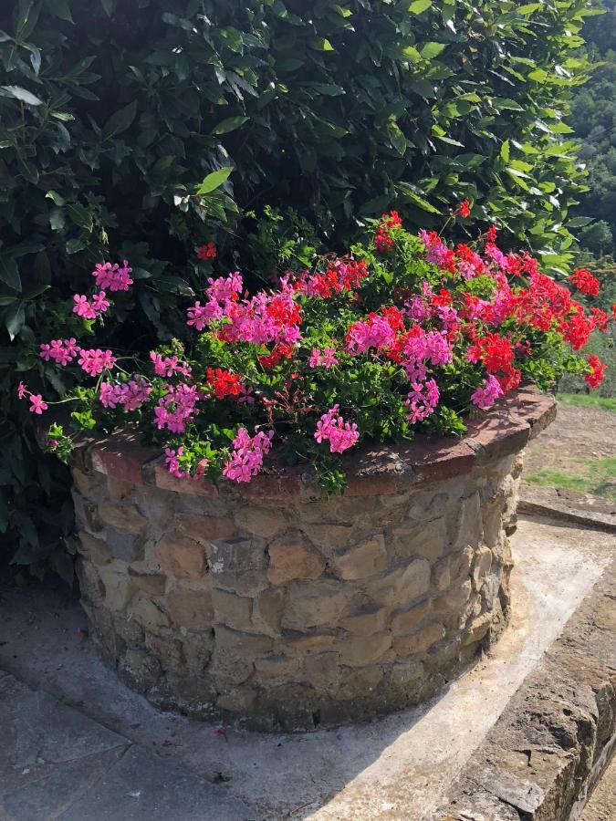 Agriturismo La Casella Castelfranco di Sopra Экстерьер фото