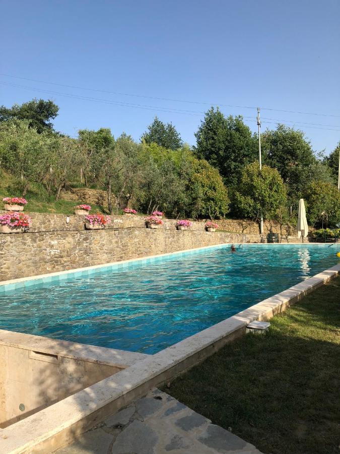 Agriturismo La Casella Castelfranco di Sopra Экстерьер фото